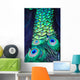 Textures and colors of the peacock Wall Mural