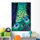 Textures and colors of the peacock Wall Mural