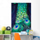 Textures and colors of the peacock Wall Mural