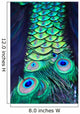 Textures and colors of the peacock Wall Mural