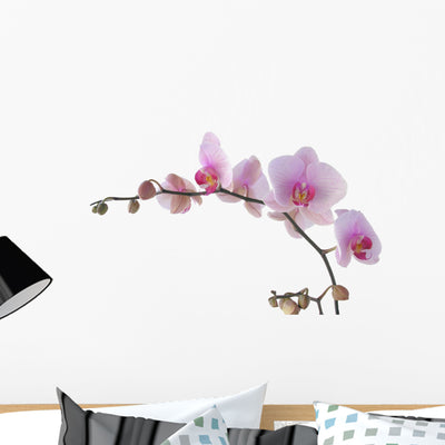 Bunch Orchid with Lila Wall Decal shown on a wall