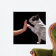 French bulldog giving high five with female hand over black Wall Mural