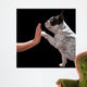 French bulldog giving high five with female hand over black Wall Mural