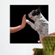 French bulldog giving high five with female hand over black Wall Mural