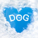 Love Dog Word Cloud