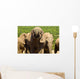 Large Elephant Drinking Wall Mural