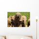 Large elephant drinking Wall Mural