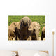 Large elephant drinking Wall Mural