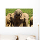 Large elephant drinking Wall Mural