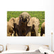 Large elephant drinking Wall Mural