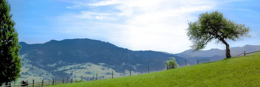 Mountain Panorama Ukrainian Carpathians