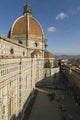 Florence Wall Mural