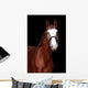 Chestnut Stallion Portrait Black