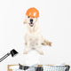 Construction dog Wall Decal