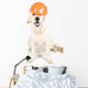Construction dog Wall Decal