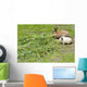Rabbit and guinea pig Wall Mural