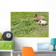 Rabbit and guinea pig Wall Mural