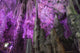 Cave 10