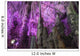 Cave 10