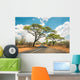 African landscape with empty road and trees in Zimbabwe - On the Wall Mural