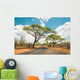 African landscape with empty road and trees in Zimbabwe - On the Wall Mural