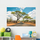 African landscape with empty road and trees in Zimbabwe - On the Wall Mural