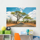 African landscape with empty road and trees in Zimbabwe - On the Wall Mural
