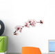 pink almond flower Wall Decal