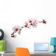 pink almond flower Wall Decal