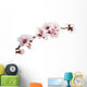 pink almond flower Wall Decal