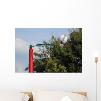 Shot Net Ball Going Wall Mural shown on a wall
