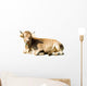 Laying Cow