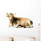 Laying Cow