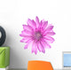 Pink Conflower Flower Wall Decal