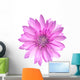 Pink Conflower Flower Wall Decal