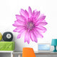 Pink Conflower Flower Wall Decal
