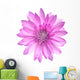 Pink Conflower Flower Wall Decal