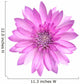Pink Conflower Flower Wall Decal