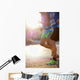 marathon runners morning Wall Mural