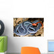 malaysian blue coralk snake Wall Mural