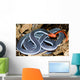 malaysian blue coralk snake Wall Mural
