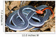 malaysian blue coralk snake Wall Mural