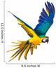 Colourful Flying Parrot White