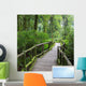 Wood of pavement in green jungle Wall Mural