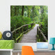 Wood of pavement in green jungle Wall Mural
