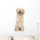 Golden Retriever Wall Decal