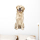 Golden Retriever Wall Decal