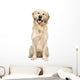 Golden Retriever Wall Decal