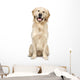 Golden Retriever Wall Decal
