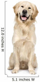 Golden Retriever Wall Decal